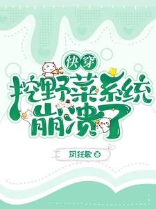 《跪穿:挖掖菜系統崩潰了》